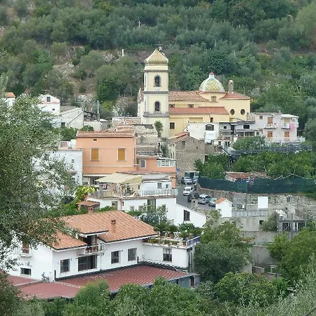 Patrizia Sant'Agnello